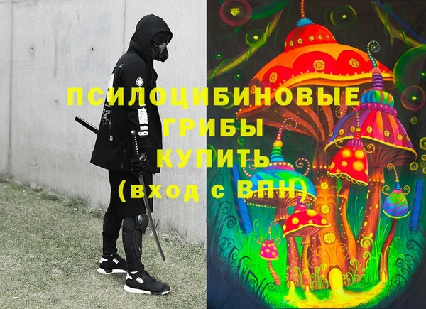 спиды Богородск