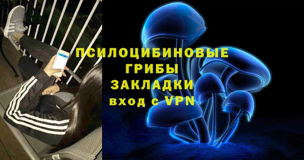 спиды Богородск