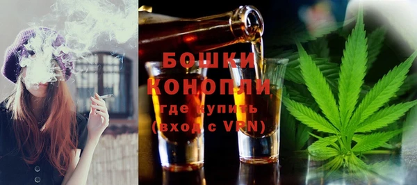 спиды Богородск