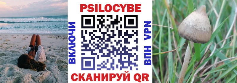 Псилоцибиновые грибы прущие грибы  Красавино 